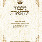 קונטרס לכבוד ולתפארת - בעניין דברי הפמג והמשנב בסוגיית שוק באשה ערוה