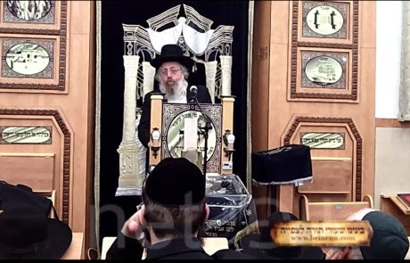 הרב מנחם מנדל לובין – הליגמן