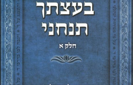 צניעות מהי – בעצתך תנחני