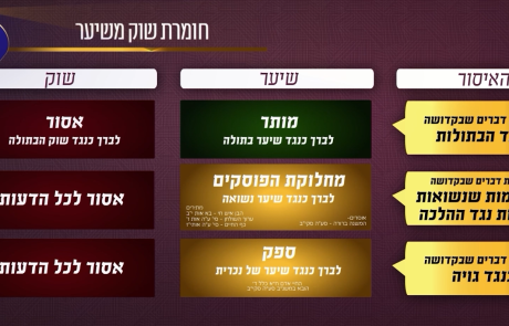 מצגת על רגל אחת – חלק א', בירור מקיף, היכן מקום השוק משיטת התנאים והאמוראים ועד האחרונים והמשנה ברורה.