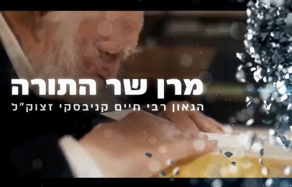 מצגת על רגל אחת – חלק ב', דעתם של כל גדולי ישראל על מקום השוק ואורך החצאית מדינא.